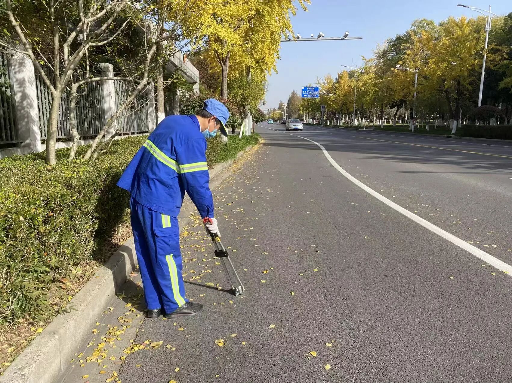 青浦华乐路开启&ldquo;落叶不扫&rdquo;模式,精细化保洁守护秋日浪漫